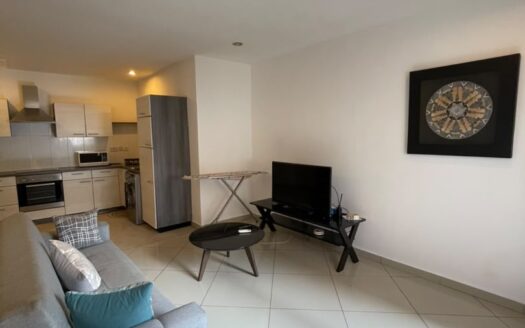 1 Bedroom Furnished Apartment for Sale in East Legon